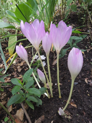 DSCN1289_1734.JPG