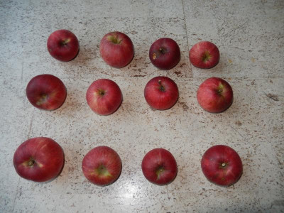 Apfel2-7.JPG