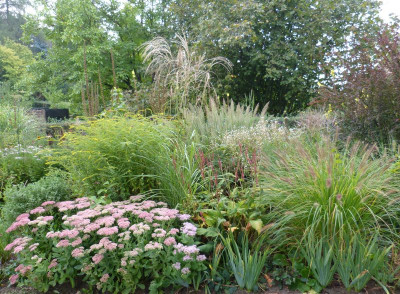 2016-09-10 Garteneinblick 1.jpg