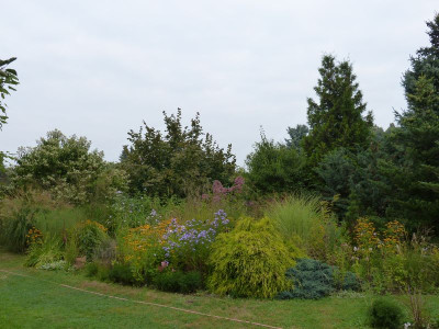 2016-09-10 Garteneinblick 3.jpg