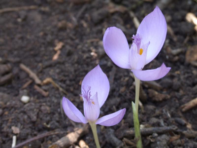 DSCF3421.JPG