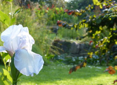 2016-09-11 Gartenimpressionen 4.jpg