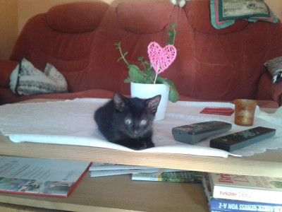 20160908_092253.jpg