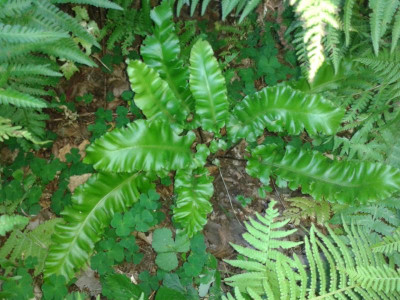 20160911_181230.jpg