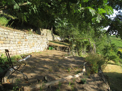 Rosengang Bellevue 20160906_05.jpg
