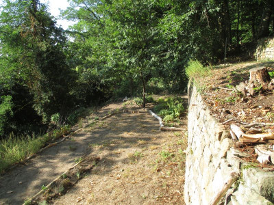 Rosengang Bellevue 20160906_09.jpg
