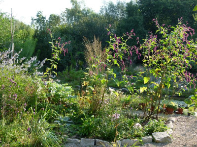 P1100042.JPG