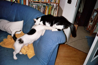imm028_29.jpg