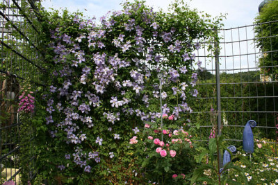 Cl.vit.Emilia Plater2911.jpg