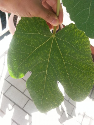 20160913_114021.jpg