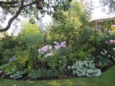 DSCN1333_1742.JPG