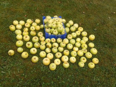 20160916_110616.jpg