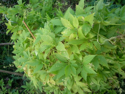 DSCN2319.JPG