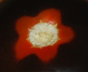 DSC_8112b.jpg