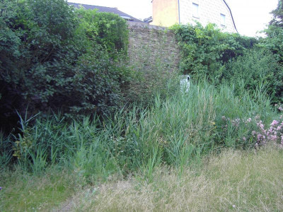 PICT4842.JPG