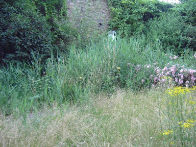 PICT4848.JPG