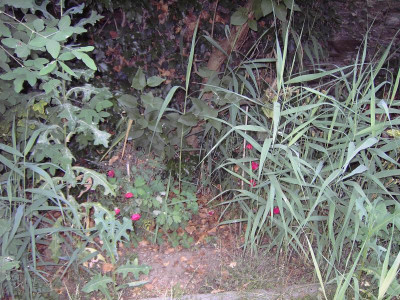 PICT4844.JPG