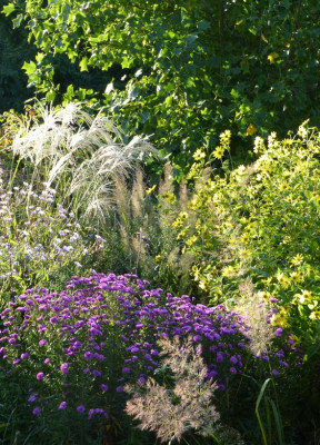 2016-09-18 Gartenimpressionen 1.jpg