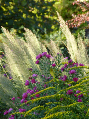 2016-09-18 Gartenimpressionen 4.jpg