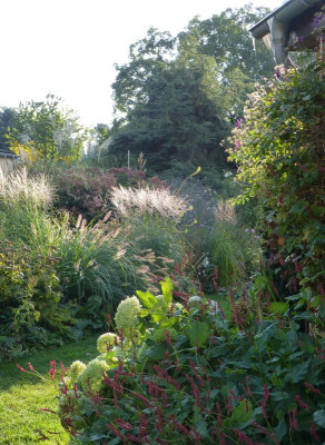 2016-09-18 Garteneinblick 1.jpg