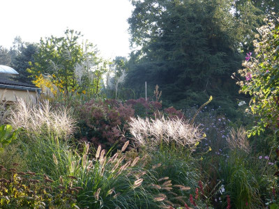 2016-09-18 Garteneinblick 2.jpg