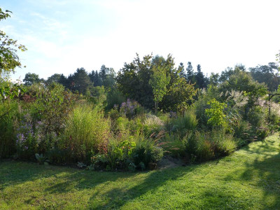 2016-09-18 Garteneinblick 3.jpg