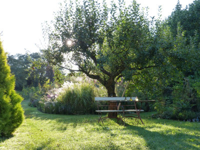 2016-09-18 Garteneinblick 5.jpg