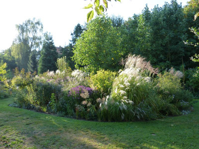 2016-09-18 Garteneinblick 6.jpg