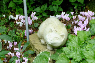 2016_0916sept160014.JPG