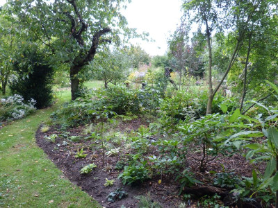 2016-09-18 Garteneinblick 8.jpg