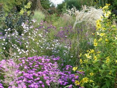 2016-09-18 Gartenimpressionen 6.jpg
