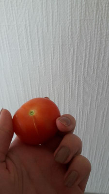IMG-20160919-WA0018.jpeg