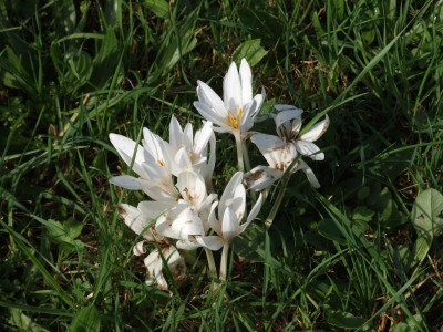 DSCF0859.JPG
