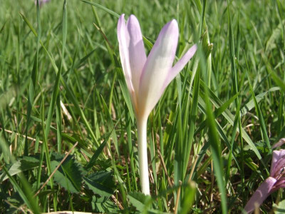 DSCF0863.JPG