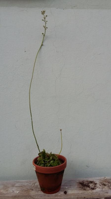 20160916_181348.jpg