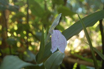 DSC_0474.JPG
