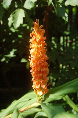 DSC_0506.jpg