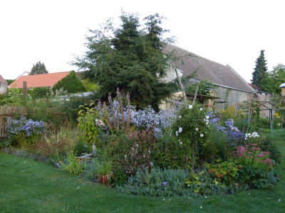 2016-09-21 Garteneinblick 2.jpg