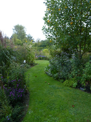 2016-09-21 Garteneinblick 4.jpg