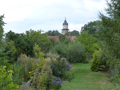 2016-09-21 Garteneinblick 5.jpg