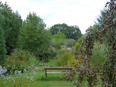 2016-09-21 Garteneinblick 6.jpg