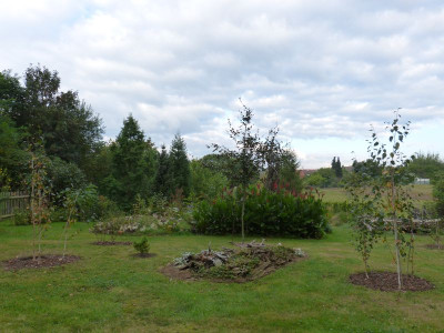 2016-09-21 Birkenhain 2.jpg