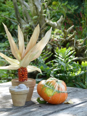 2016-09-22 Gartenimpressionen 1.jpg