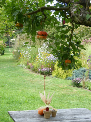 2016-09-22 Gartenimpressionen 4.jpg