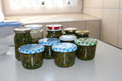 Suppengrundstock 0116.JPG