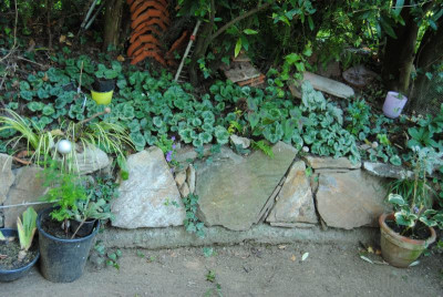 september 054.jpg
