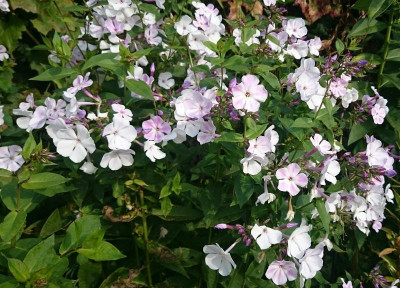 _20160923_115219.JPG