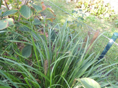DSCN1422_1755.JPG