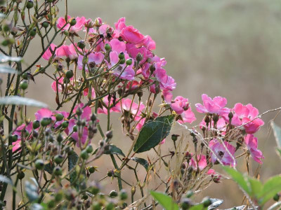DSCN5859.JPG
