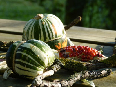 2016-09-24 Gartenimpressionen 1.jpg